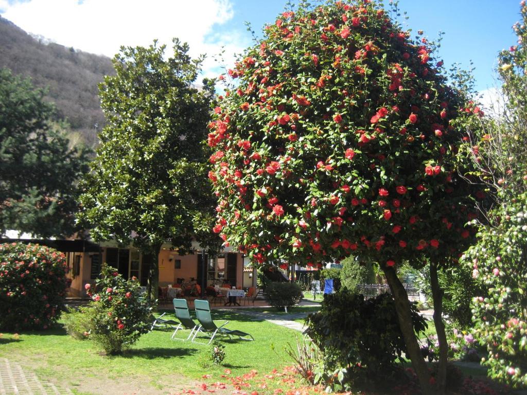Villa Margherita Lake Maggiore Zewnętrze zdjęcie